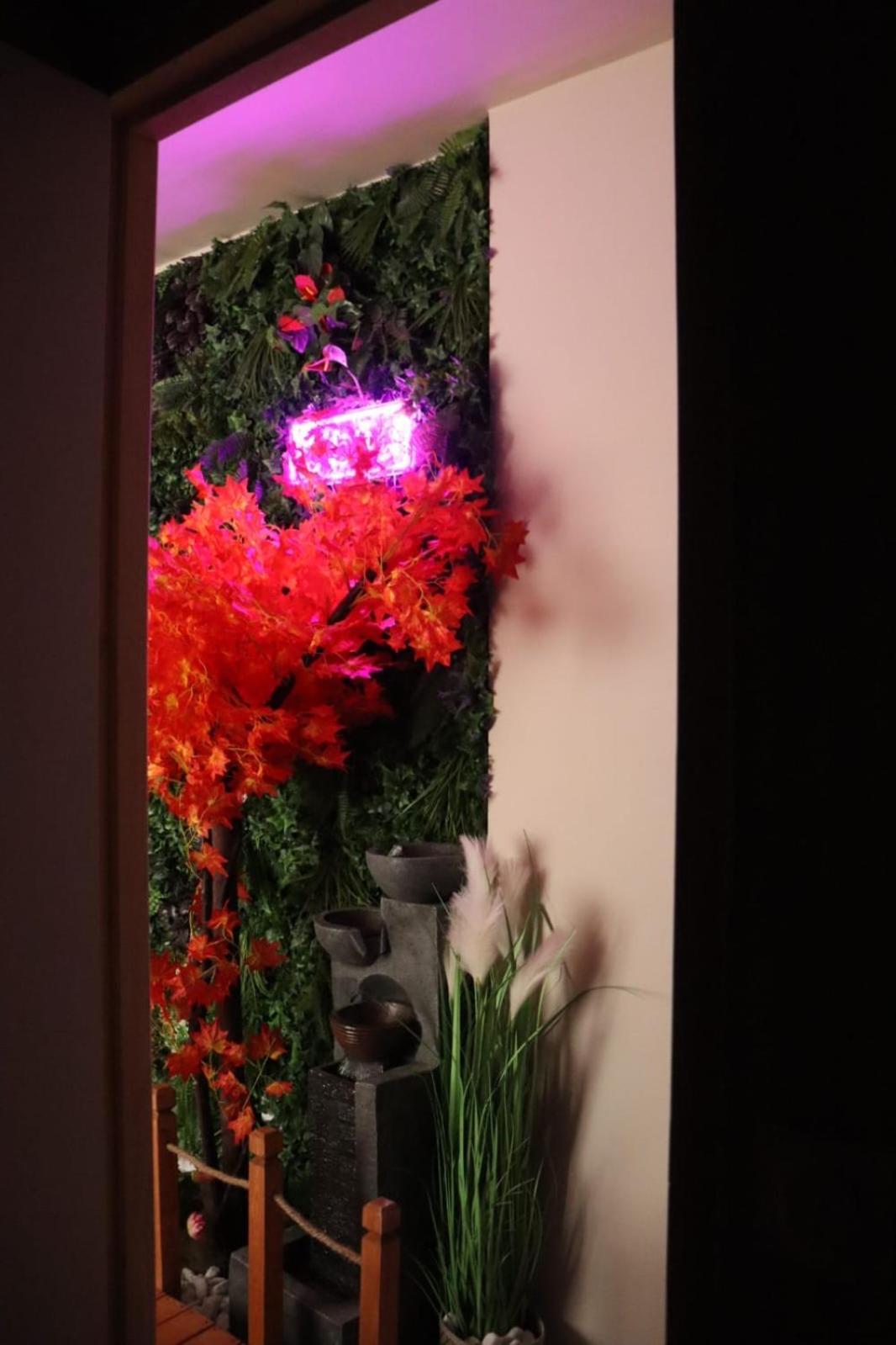 Loveroom Japon Avec Balneotherapie Тулон Екстериор снимка